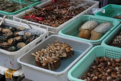 纯玩·港珠澳大桥 | 168元一日游 乘豪华游轮，享海味干货批发