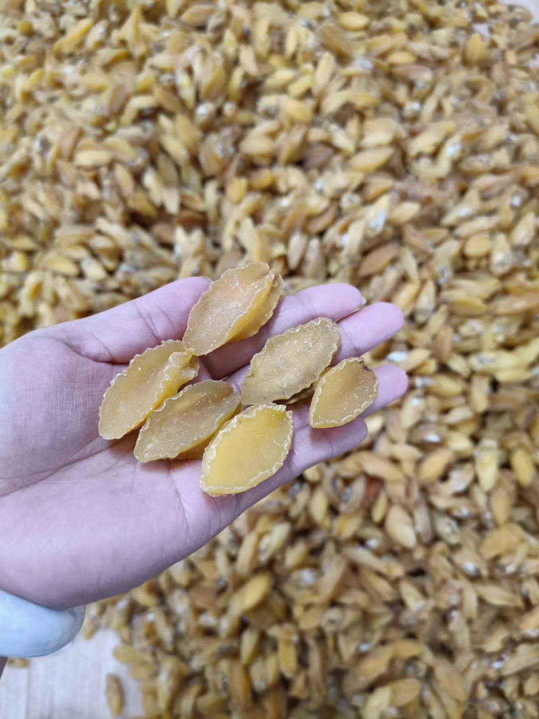 营养丰富，源头直供——昌升新鲜金丝鲍鱼与海味干货批发