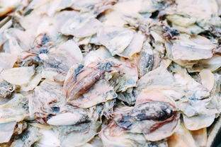 送给长辈的年货清单 靠谱的福州海味干货攻略全在这儿了