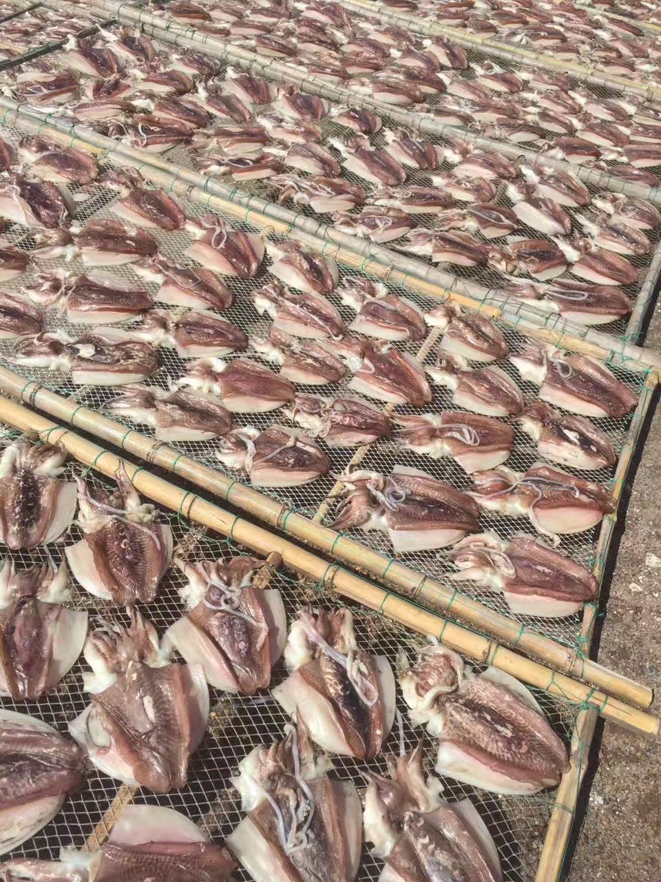 批发无头鱿鱼干 优质海产干货，500克海味干批发指南