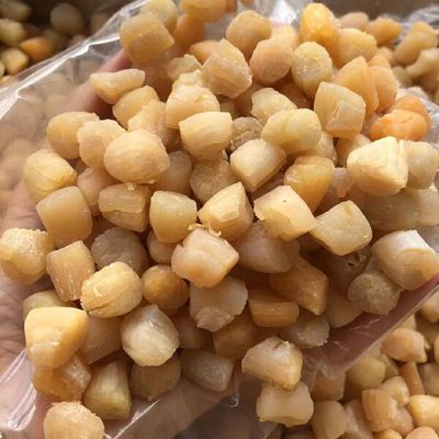 300头瑶柱 海味干货批发市场的天然干贝之选