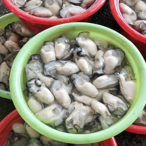 鲜活生蚝肉 海洋珍品的即食盛宴