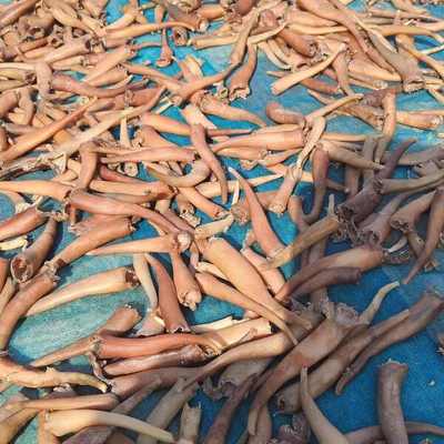 海竹干、海次干与海味干货批发市场概述