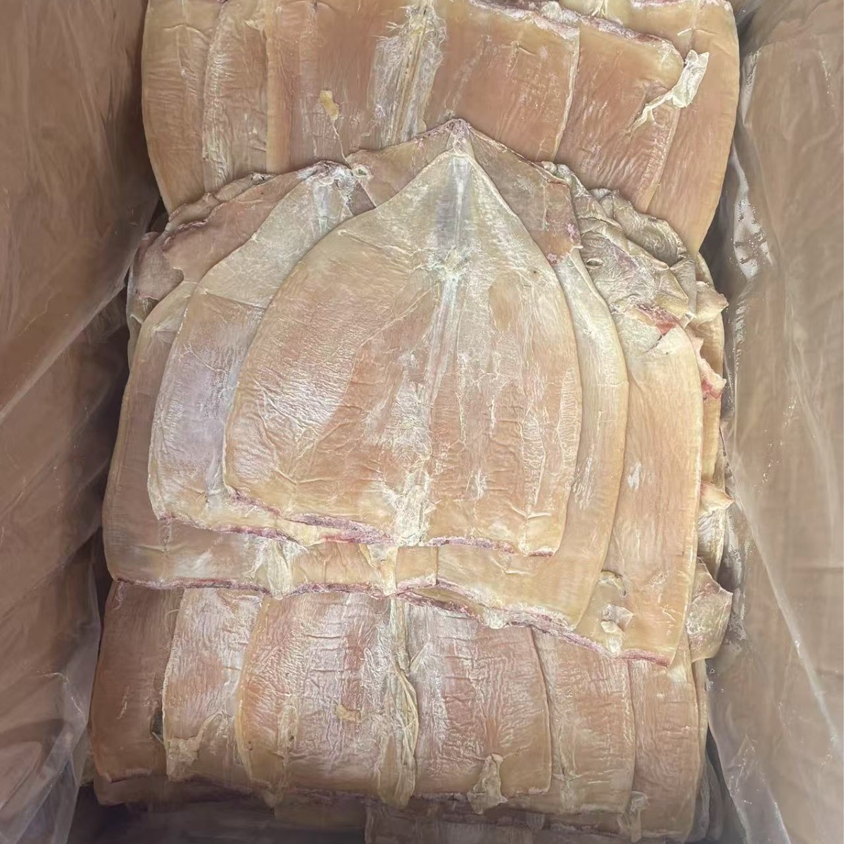 阿根廷无头鱿鱼干 优质海味干货批发指南