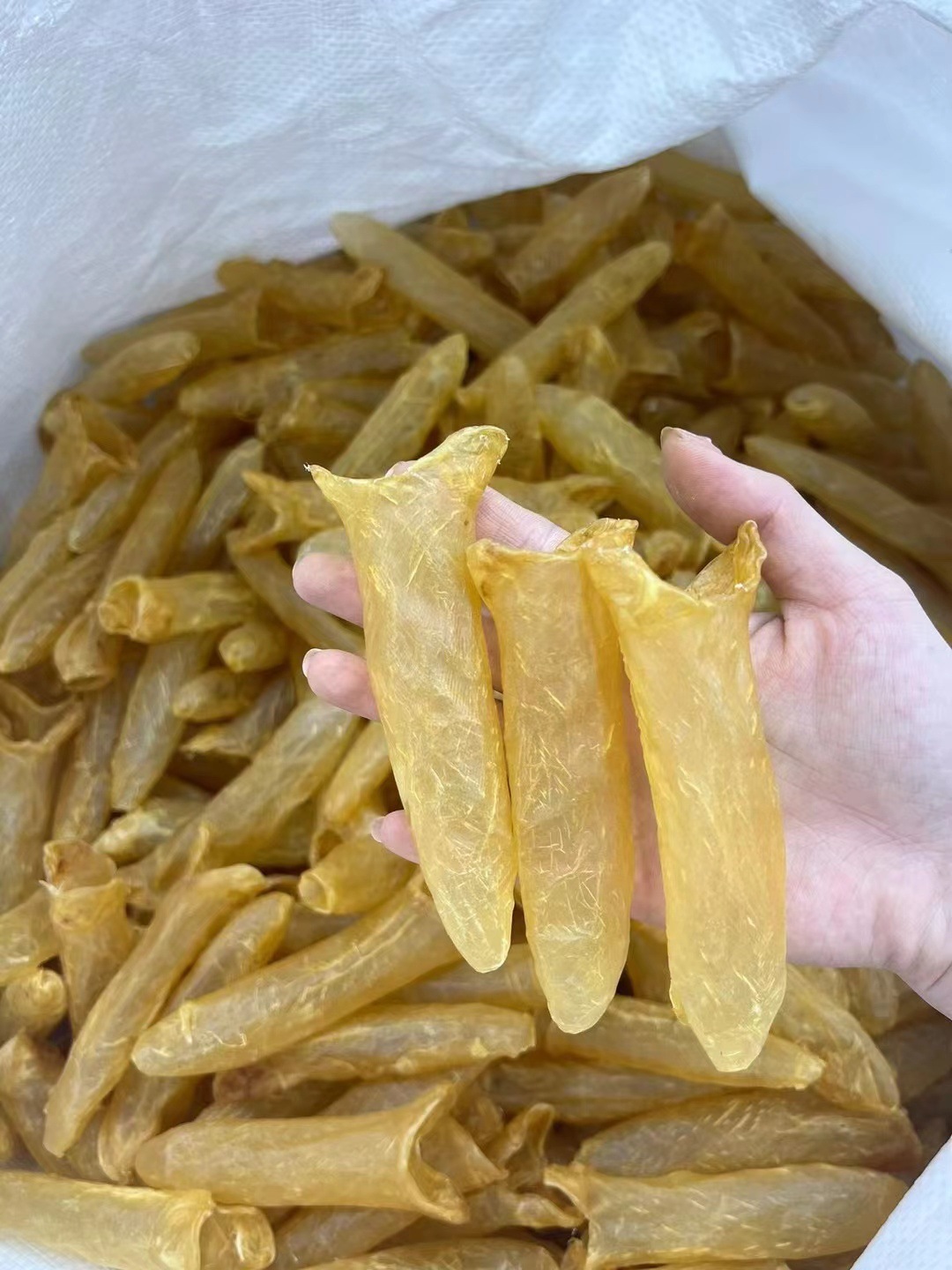 足干正品黄花筒鱼胶 孕妇滋补与送礼佳品
