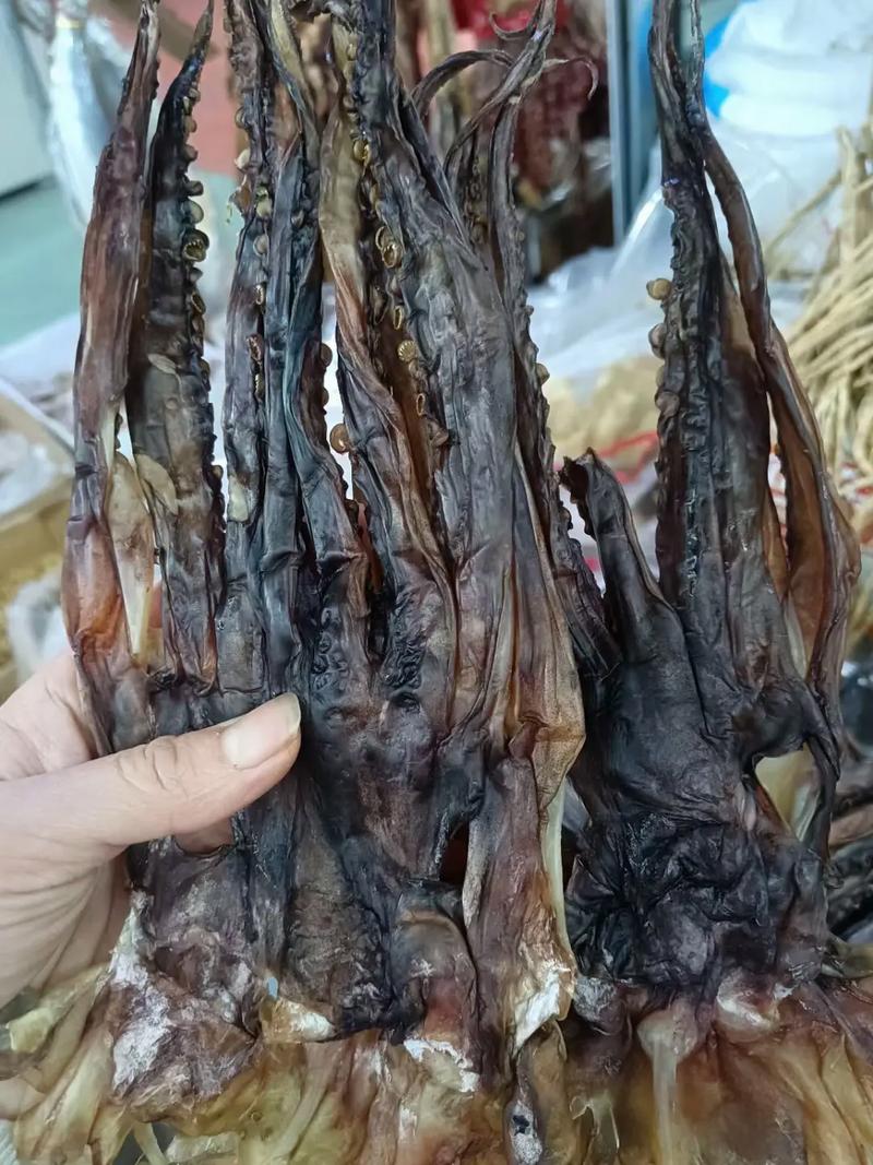 海味干货长期供应 蚝市55元一斤，欢迎批发零售