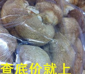 一德路海味干货批发 优质中等规格干猴头菇，足干色好，海味市场好货供应